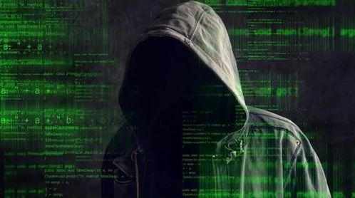 黑客爆料图片最新版下载,揭秘新版下载神秘面纱